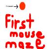 First Mouse Maze