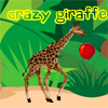 Crazy Giraffe!