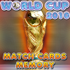 WorldCup 2010: Memory Cards