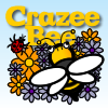Crazee Bee A Free Puzzles Game