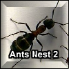 Ants Nest 2