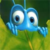 Find Bugs game - Allhotgame