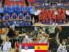 Puzzle, Serbia - Spain, quarter finals, 2010 FIBA World Turkey A Free Education Game
