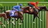 Whack a Horse Race A Free Action Game