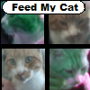 Feed my Cat