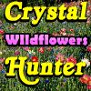 Crystal Hunter Wildflowers A Free Adventure Game