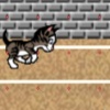 Are you brave enough to win "GattOlimpiadi" ?
Press Arrows key to run and Z key to jump.
Good luck!