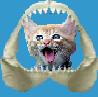 Cat Crunch A Free Education Game