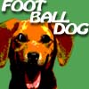 FootballDog A Free Action Game