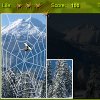 Hunting Spider - Winter A Free Action Game