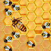 HoneySweeper A Free BoardGame Game