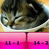 Baby cats math subtraction puzzle game.