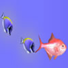 Fish School A Free Action Game