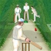 Hit for Six Cricket A Free Sports Game