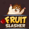 Fruit Slasher