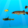 The Trial Of Fish A Free Puzzles Game