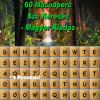60 Second Word Search - Hungarian Edition A Free BoardGame Game