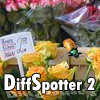 DiffSpotter 2 - In the shop