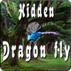Hidden Dragonfly