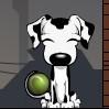 The Smart Dog A Free Puzzles Game