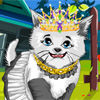 Kitty Cat Fashion Styling A Free Customize Game