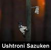 Ushtroni Sazuken A Free Adventure Game