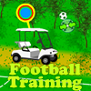 Train the footballer, make more experience points(xp). Try to be accurate and hit the target.
