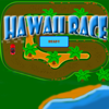 Hawaii Race A Free Action Game