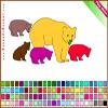 Bear Coloring A Free Customize Game