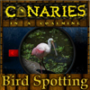 Canaries in a coalmine - Bird Spotting A Free Education Game