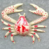 Crab Attack A Free Action Game