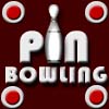 PinBowling A Free Action Game