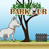 Parkour A Free Action Game