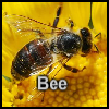 Bee A Free Puzzles Game