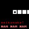 NelkSnake A Free Strategy Game