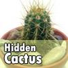 Hidden Cactus