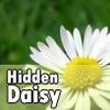 Find and click on daisy. Your goal is to find all 10 on every image. Use the hint for help.