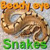 Beady Eye - Snakes A Free Puzzles Game