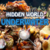 Hidden World: Underwater A Free Puzzles Game
