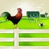 Rescue your chickens A Free Action Game