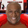 Cheater Boxing A Free Customize Game