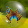 ButterflyMatch A Free Adventure Game