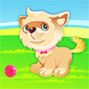 Puppy The Cutest Dog A Free Other Game