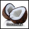 Coconuts A Free Puzzles Game