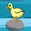 Chicken Act A Free Puzzles Game