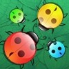 Beetles A Free Puzzles Game