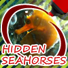 Hidden Seahorses