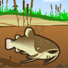 Catfish Fry A Free Action Game