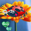 Flower world 5 Differences A Free Puzzles Game