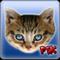 Pet That Kitty A Free Action Game